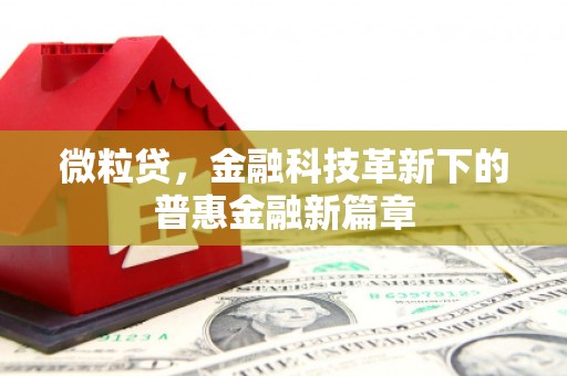 虾峙微粒贷，金融科技革新下的普惠金融新篇章