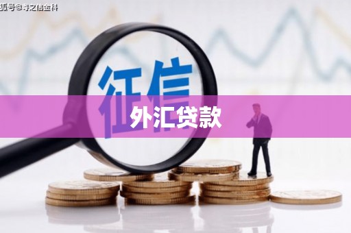 虾峙外汇贷款