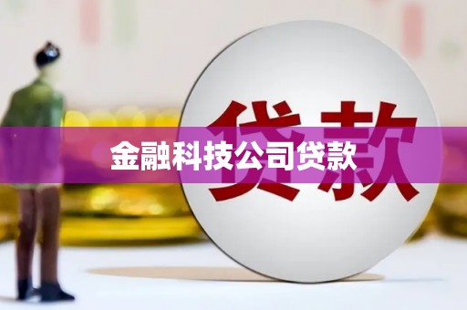 虾峙金融科技公司贷款