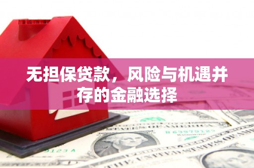 虾峙无担保贷款，风险与机遇并存的金融选择
