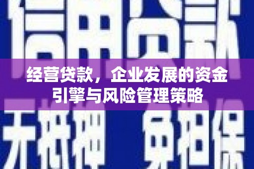 虾峙经营贷款，企业发展的资金引擎与风险管理策略