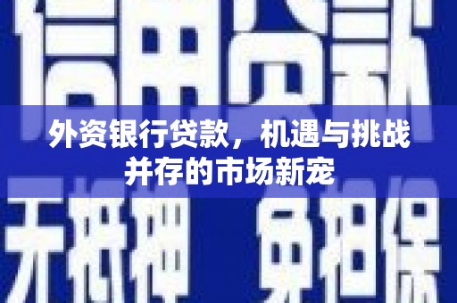 虾峙外资银行贷款，机遇与挑战并存的市场新宠