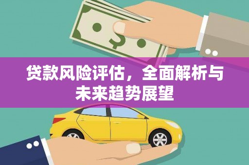 虾峙贷款风险评估，全面解析与未来趋势展望