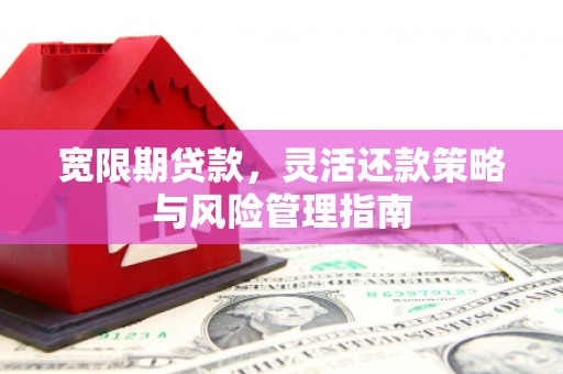 虾峙宽限期贷款，灵活还款策略与风险管理指南