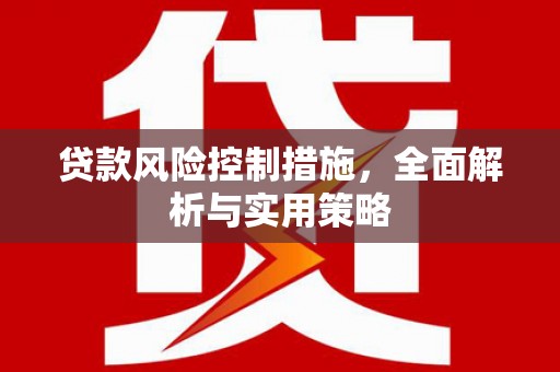 虾峙贷款风险控制措施，全面解析与实用策略