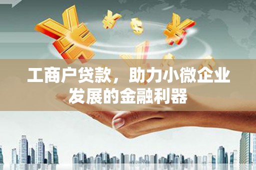 虾峙工商户贷款，助力小微企业发展的金融利器