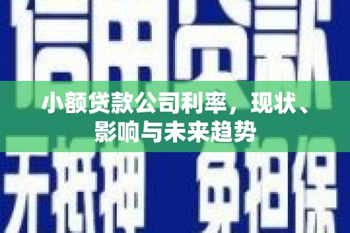 虾峙小额贷款公司利率，现状、影响与未来趋势