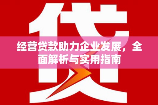 虾峙经营贷款助力企业发展，全面解析与实用指南