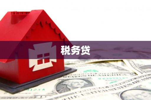 虾峙税务贷
