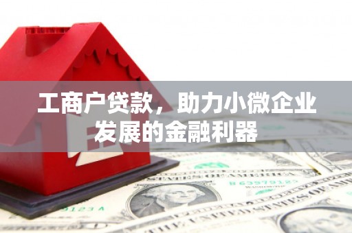 虾峙工商户贷款，助力小微企业发展的金融利器