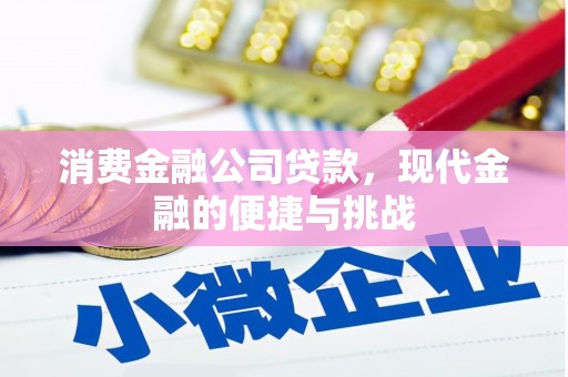 虾峙消费金融公司贷款，现代金融的便捷与挑战