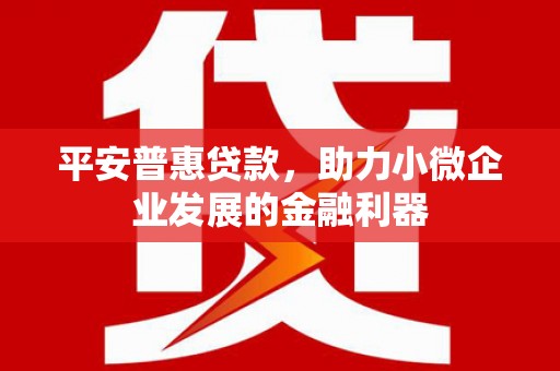 虾峙平安普惠贷款，助力小微企业发展的金融利器