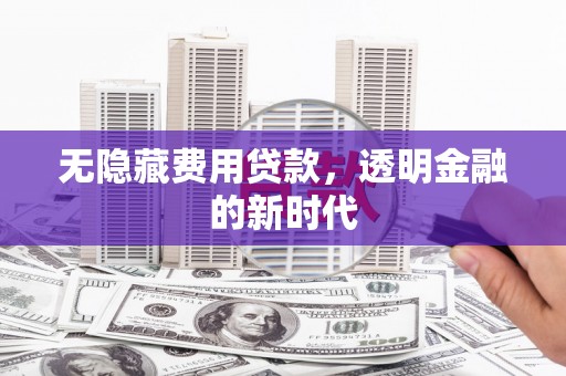 虾峙无隐藏费用贷款，透明金融的新时代