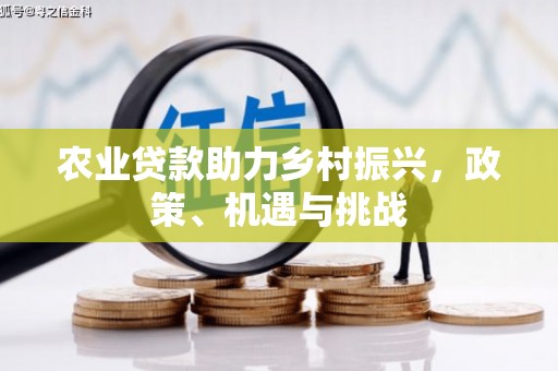 虾峙农业贷款助力乡村振兴，政策、机遇与挑战