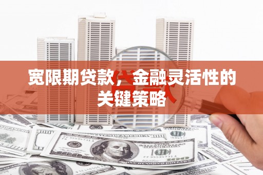 虾峙宽限期贷款，金融灵活性的关键策略