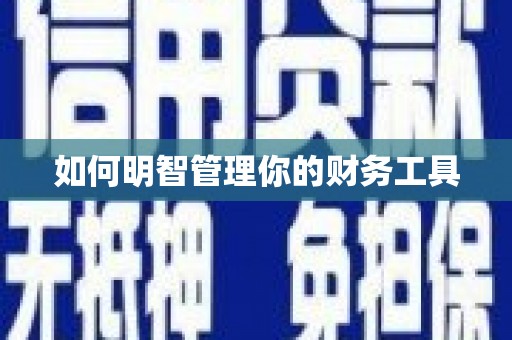 虾峙如何明智管理你的财务工具