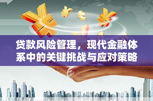虾峙贷款风险管理，现代金融体系中的关键挑战与应对策略