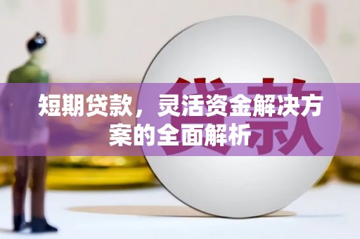 虾峙短期贷款，灵活资金解决方案的全面解析