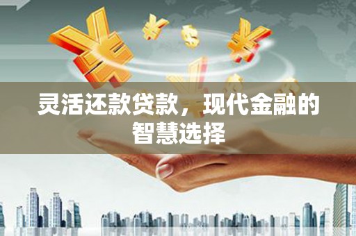 虾峙灵活还款贷款，现代金融的智慧选择