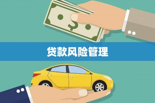 虾峙贷款风险管理