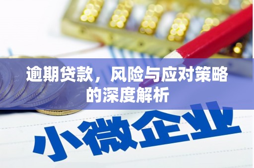 虾峙逾期贷款，风险与应对策略的深度解析
