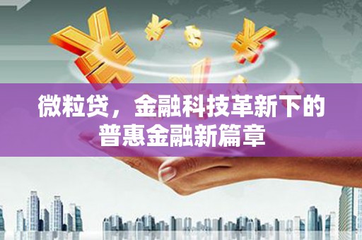 虾峙微粒贷，金融科技革新下的普惠金融新篇章