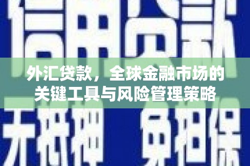 虾峙外汇贷款，全球金融市场的关键工具与风险管理策略