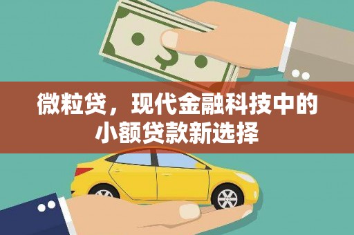 虾峙微粒贷，现代金融科技中的小额贷款新选择