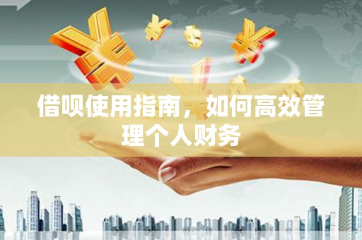虾峙借呗使用指南，如何高效管理个人财务