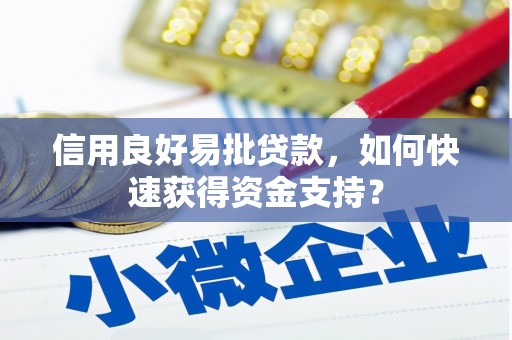 虾峙信用良好易批贷款，如何快速获得资金支持？