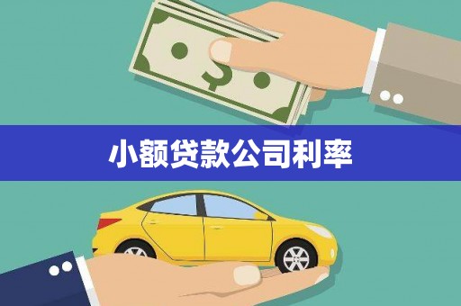 虾峙小额贷款公司利率