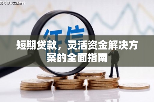 虾峙短期贷款，灵活资金解决方案的全面指南