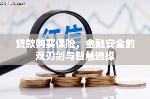 虾峙贷款购买保险，金融安全的双刃剑与智慧选择