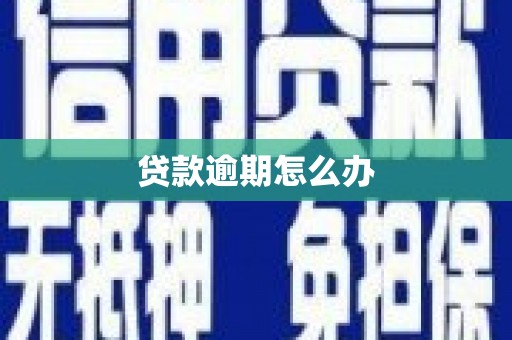 虾峙贷款逾期怎么办