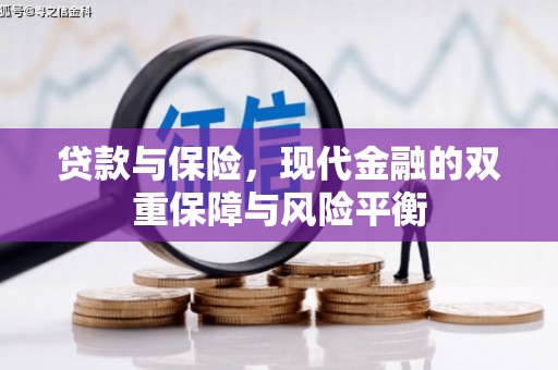 虾峙贷款与保险，现代金融的双重保障与风险平衡