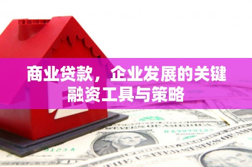 虾峙商业贷款，企业发展的关键融资工具与策略