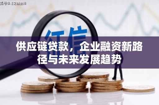 虾峙供应链贷款，企业融资新路径与未来发展趋势