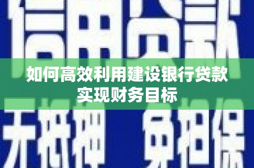 虾峙如何高效利用建设银行贷款实现财务目标