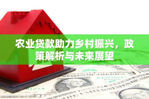 虾峙农业贷款助力乡村振兴，政策解析与未来展望