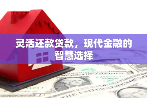虾峙灵活还款贷款，现代金融的智慧选择