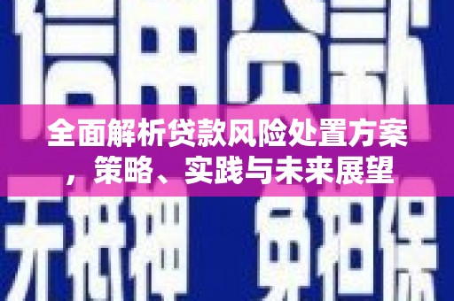 虾峙全面解析贷款风险处置方案，策略、实践与未来展望