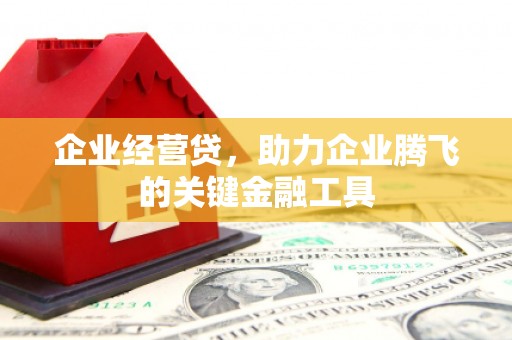 虾峙企业经营贷，助力企业腾飞的关键金融工具