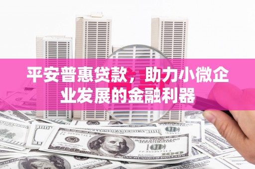 虾峙平安普惠贷款，助力小微企业发展的金融利器