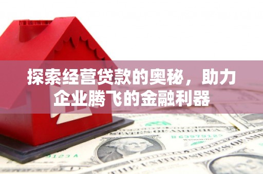 虾峙探索经营贷款的奥秘，助力企业腾飞的金融利器