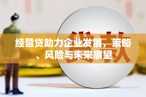 虾峙经营贷助力企业发展，策略、风险与未来展望