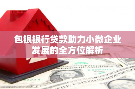 虾峙包银银行贷款助力小微企业发展的全方位解析 虾峙包银银行贷款助力小微企业发展的全方位解析