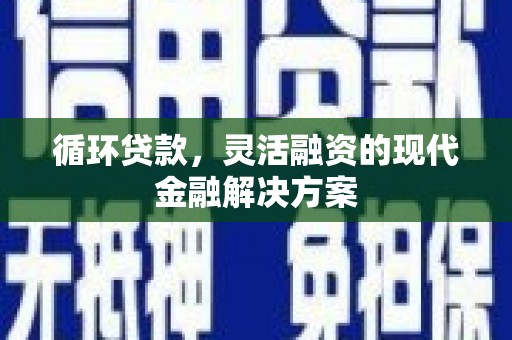 虾峙循环贷款，灵活融资的现代金融解决方案