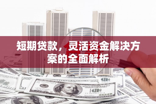 虾峙短期贷款，灵活资金解决方案的全面解析