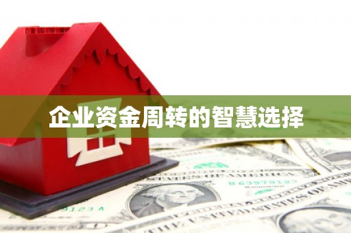 虾峙企业资金周转的智慧选择