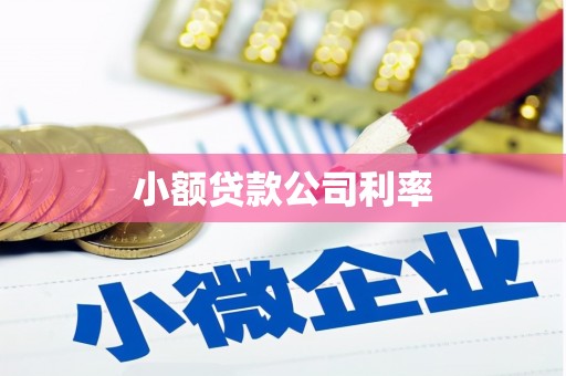 虾峙小额贷款公司利率